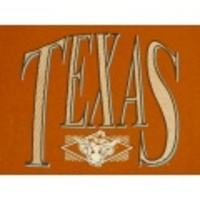 L★古着ビンテージTシャツ 80年代 TEXAS 茶