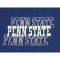 M★古着ビンテージTシャツ 80年代 チャンピオン PENN 紺