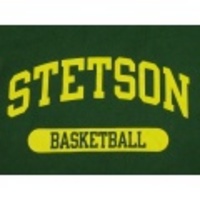 M★古着Tシャツ チャンピオン STET 緑
