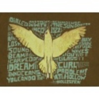 M★古着Tシャツ ホリスター 鳥 茶