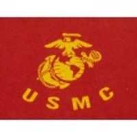 S★古着Tシャツ ミリタリー USMC 赤エンジ