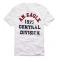 アメリカンイーグル メンズAE CENTRAL DIVISION T (White)