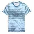 アメリカンイーグル メンズAE Striped Graphic T (Blue Cricket)