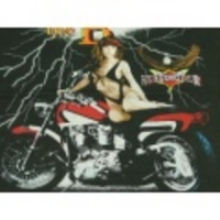 L★古着Tシャツ バイク、水着女性 黒