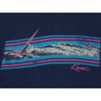 L★古着サーフTシャツ 80年代 ウインドウサーフィン 紺