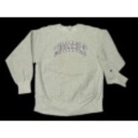 L★古着チャンピオンリバースウィーブ MIDDLEBURY 霜降