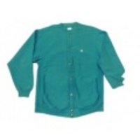 L★古着チャンピオンリバースウィーブフルスナップ90s青緑