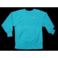 L★古着チャンピオンリバースウィーブ無地 90年代 水色