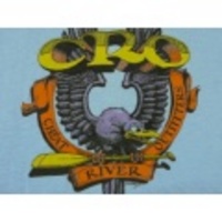 L★古着ビンテージTシャツ 70年代 CRO 鳥 水色