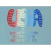 L★古着ビンテージTシャツ 80年代 USA 水色