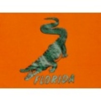 L★古着ビンテージTシャツ 80年代 ワニ オレンジ