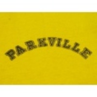L★古着ビンテージTシャツ80sチャンピオンPARKVILLE黄
