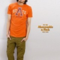 Abercrombie&Fitch【アバクロンビー＆フィッチ】かすれフロッキープリントＴシャツ【送料無料】