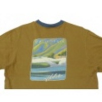 M★古着Tシャツ ホリスター 茶×紺リンガー