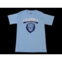 M★古着Tシャツ ライオン 水色