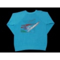 M★古着サーフスウェット80sOPウィンドウサーフィン水色