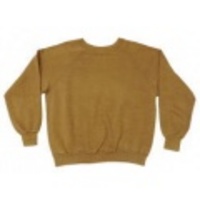 M★古着スウェット 70年代 フルーツオブザルーム 茶