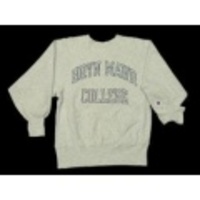 M★古着チャンピオンリバースウィーブBRYN MAWR霜降