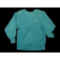 M★古着チャンピオンリバースウィーブ無地 90年代 青緑