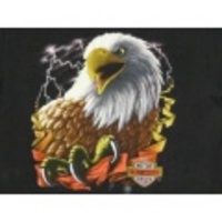 M★古着ハーレーTシャツ 80年代 鳥 黒