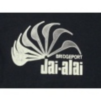 M★古着ビンテージTシャツ 80年代 スプルース Jaialai 紺