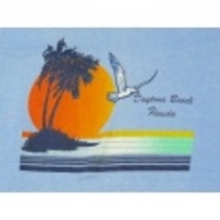 M★古着ビンテージTシャツ 80年代 デイトナビーチ 水色