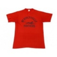 M★古着ビンテージTシャツ 80年代 パンサー 赤