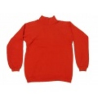 M★古着ビンテージスウェット60年代ヘルスニットオレンジ